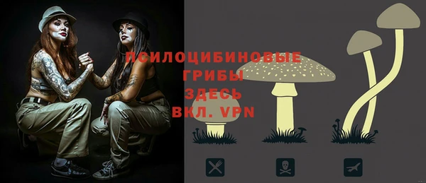 ALPHA PVP Верея