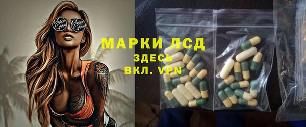 прущий лед Бородино