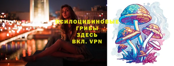 гидра Бронницы