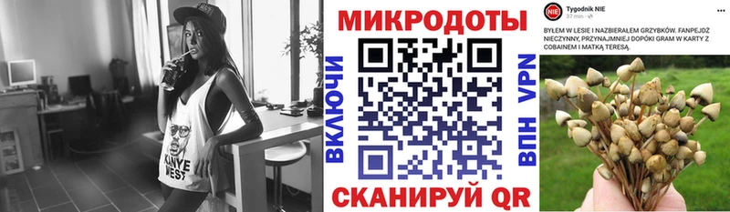 Псилоцибиновые грибы MAGIC MUSHROOMS Гай