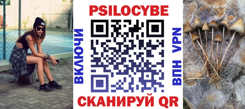 как найти   Гай  Псилоцибиновые грибы GOLDEN TEACHER 