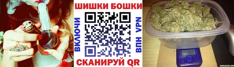 Бошки Шишки гибрид  купить   Гай 